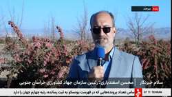 ترسیم راه توسعه از حمایت زرشک‌کاران تا برند جهانی
